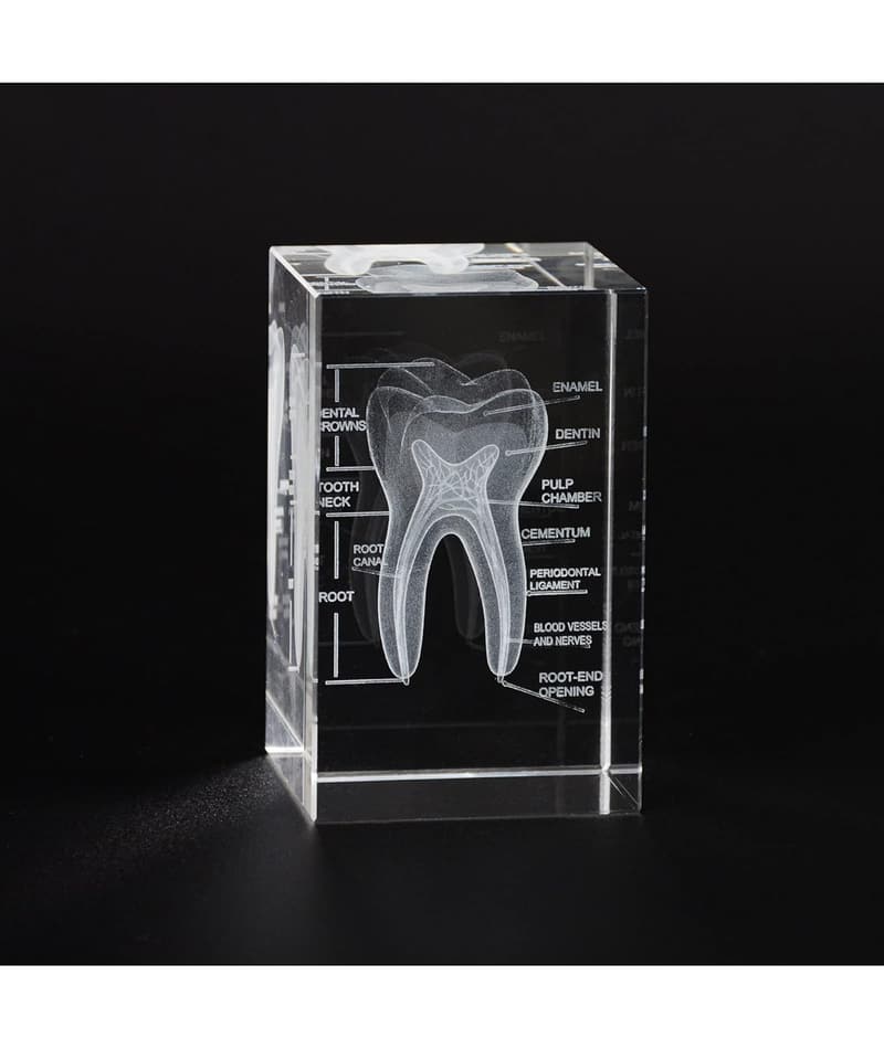 15 Gift Ideas For Dentist Office