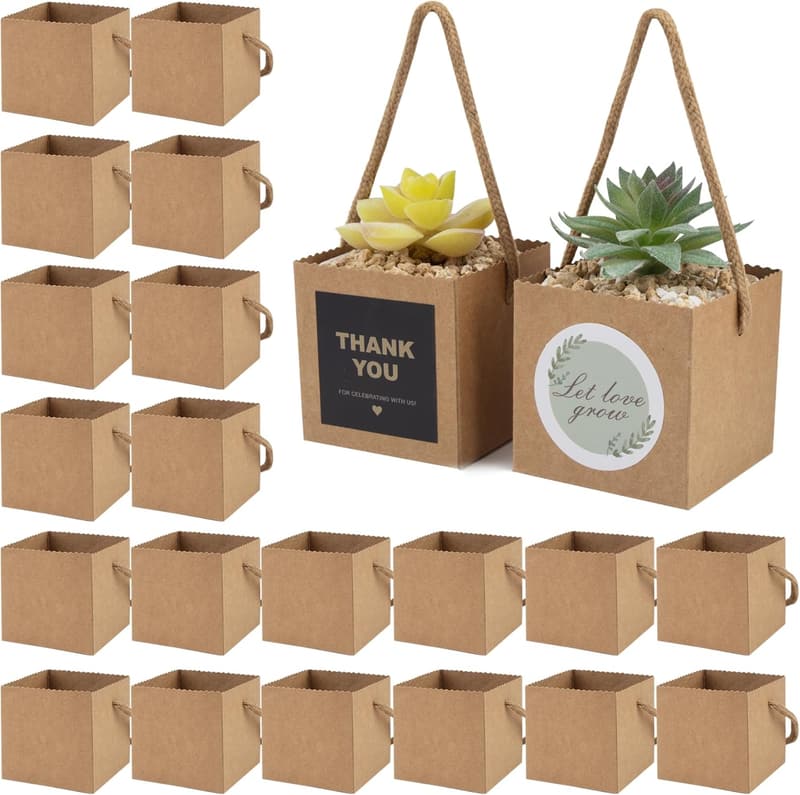 15 Succulent Thank You Gifts [We Studied 44]