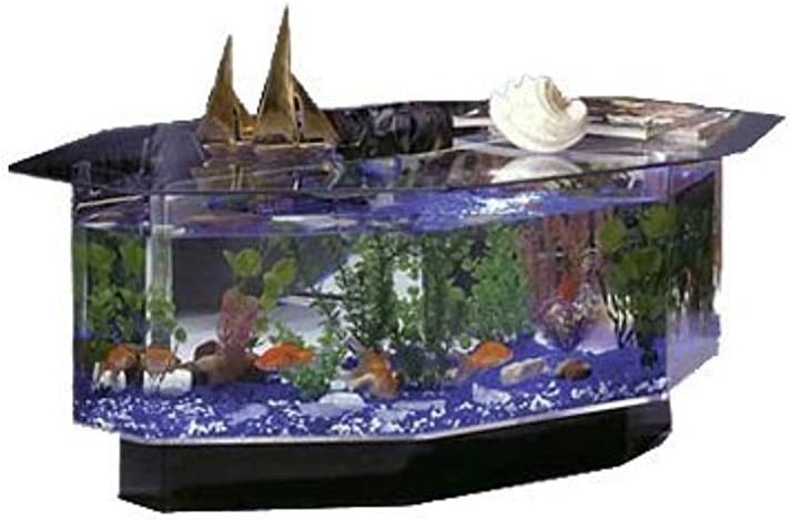 15 Coffee Table Aquariums [We Studied 42]