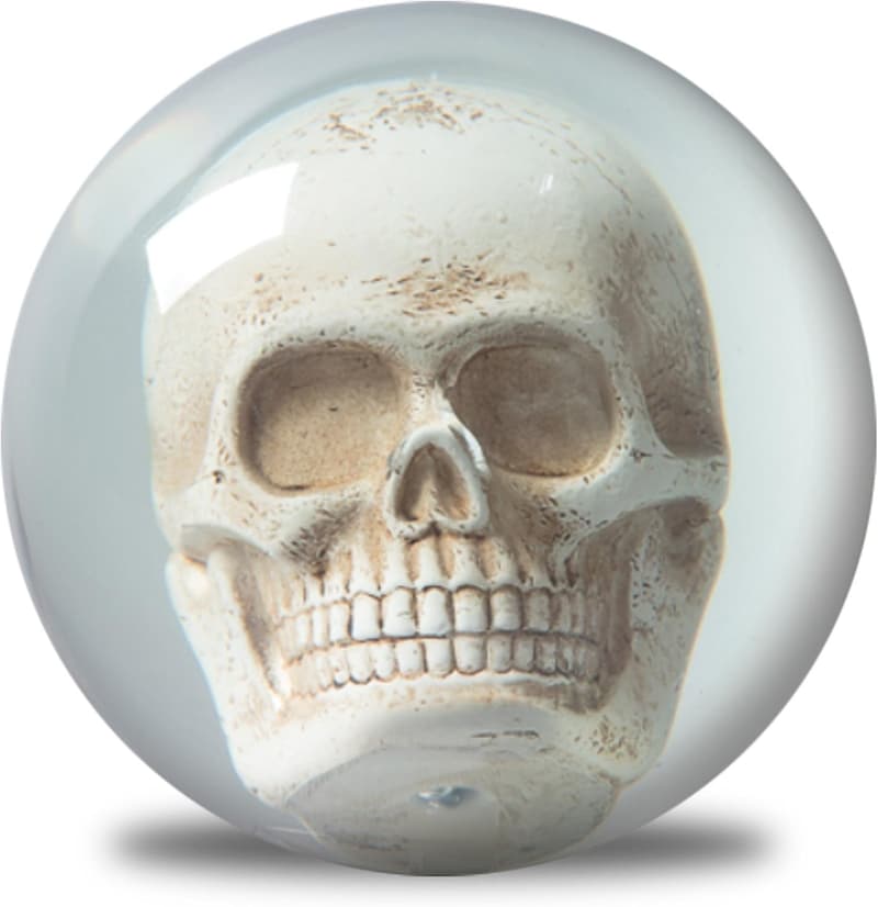15 Bowling Ball With Skull Inside [We Studied 31]