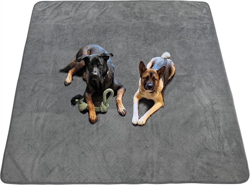 15 Indoor Potty System For Dogs