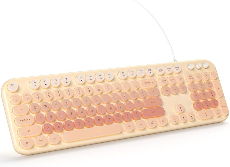 15 Laptop With Colorful Keyboard [We Studied 36]