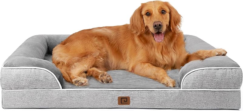 15 Bunk Beds For Large Dogs