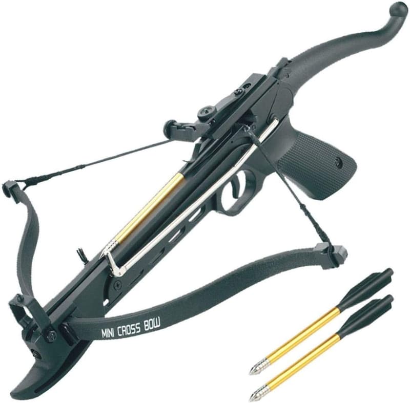 15 Crossbow Home Defense