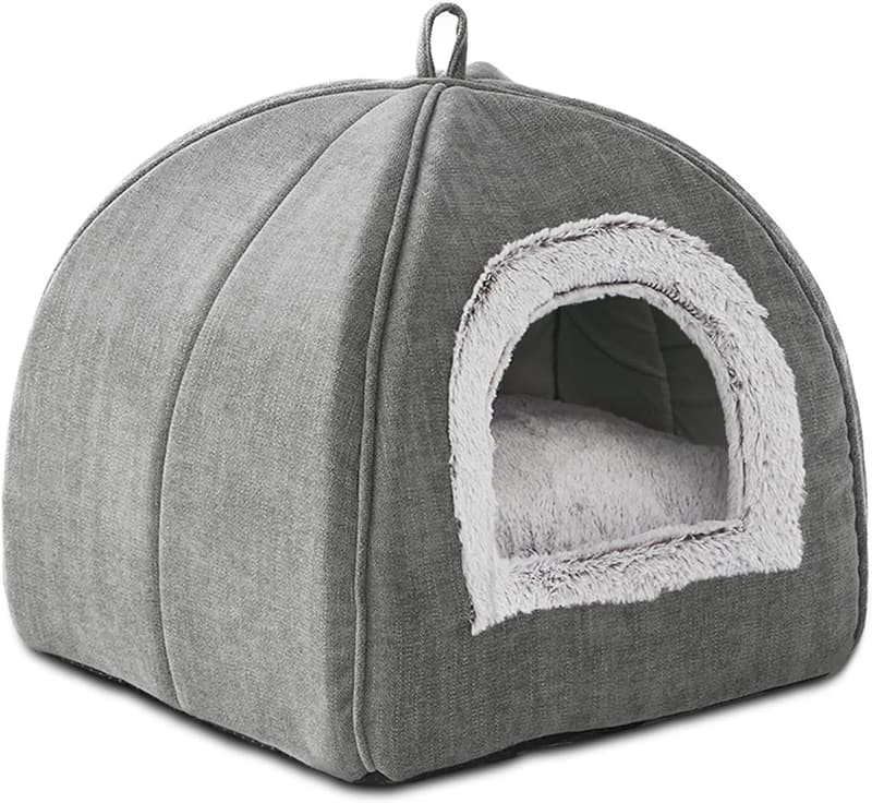 15 Outdoor Igloo For Cats
