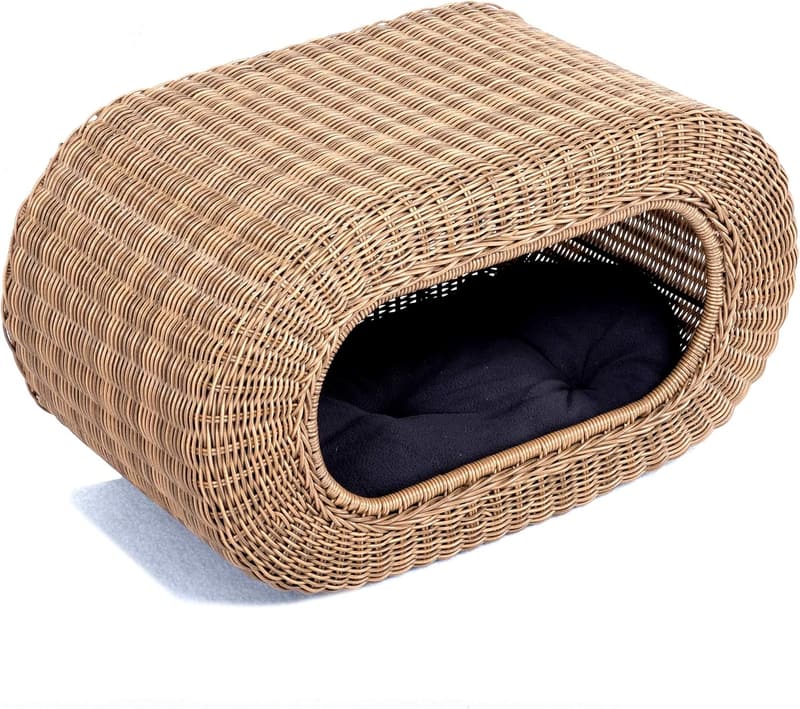 15 Pet Friendly Bed Frame [We Studied 31]