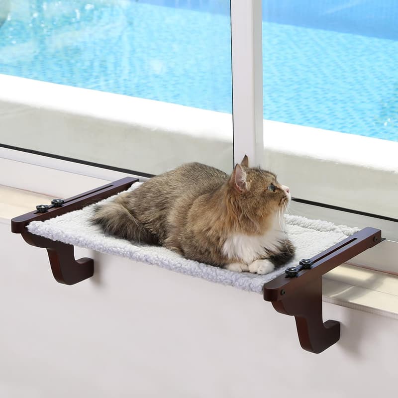 15 Pet Friendly Bed Frames