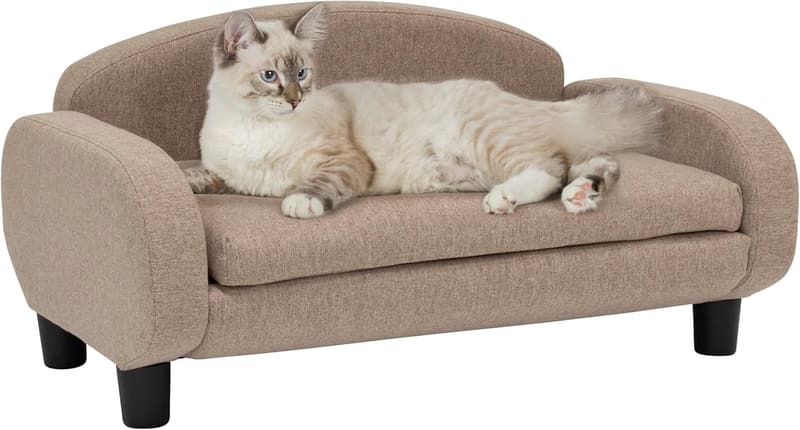 15 Mini Couch For Dogs