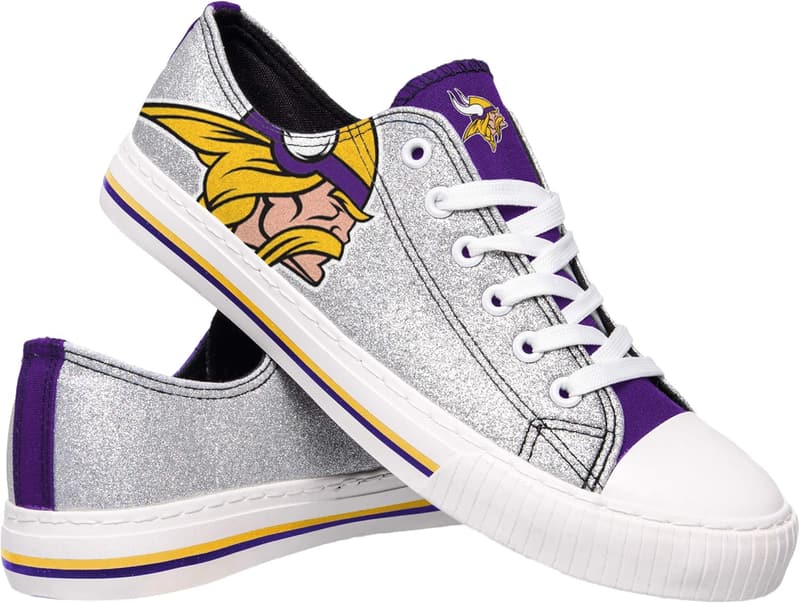 15 Minnesota Vikings Gift Ideas [We Studied 36]