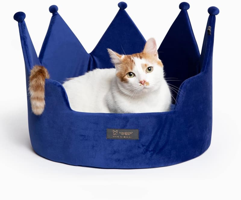 15 Castle Dog Bed