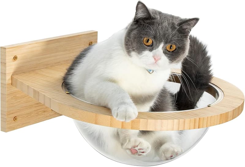 15 Cat Bubble Wall