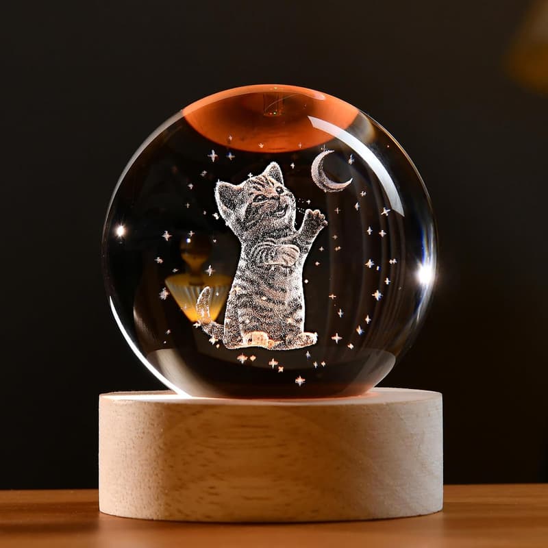 15 Regalos De Lujo Para Gatos