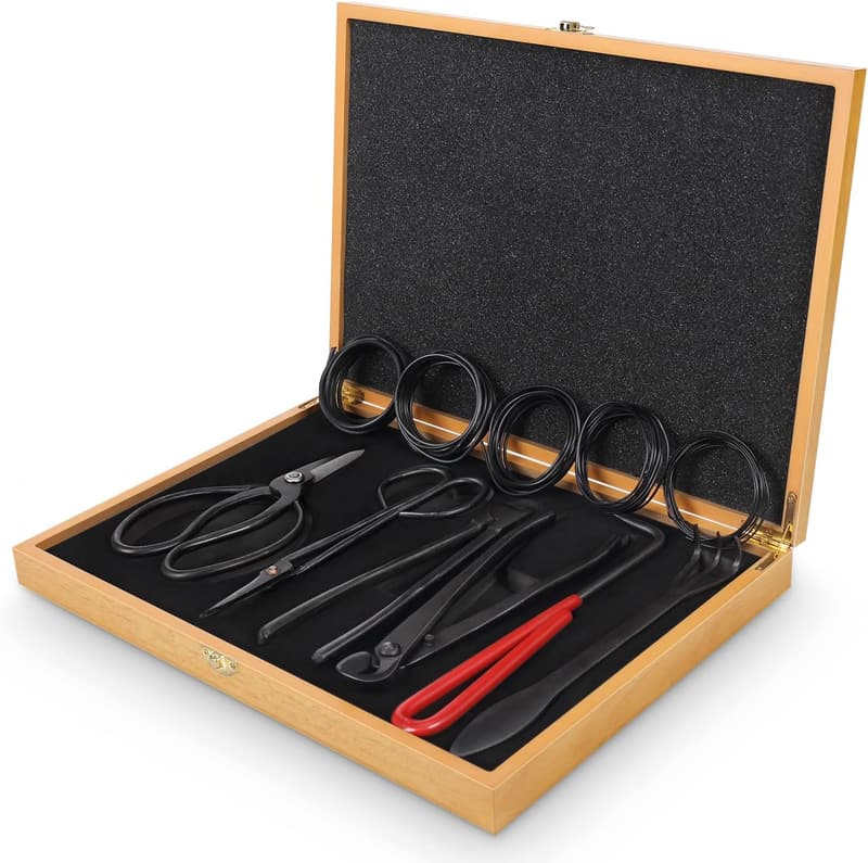 15 Caring For Your Bonsai Tools
