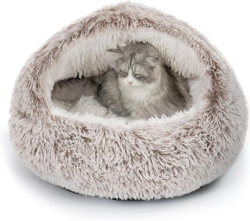15 Cat Snuggle Beds