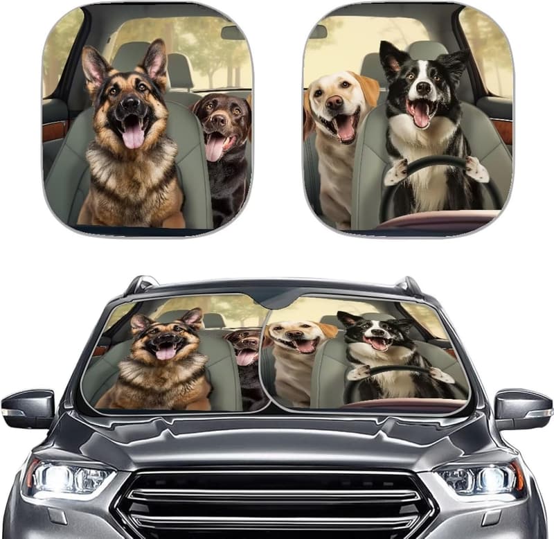 15 Rick And Morty Sun Shade
