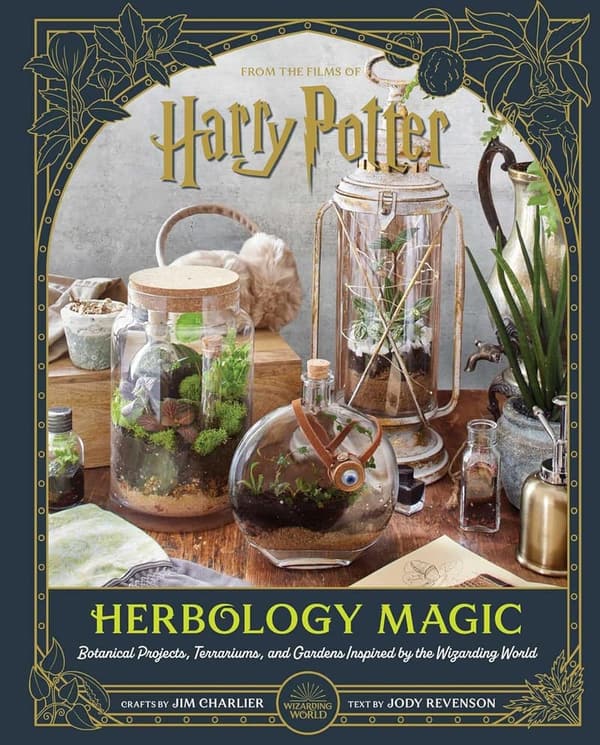 15 Harry Potter Science Projects [We Studied 31]