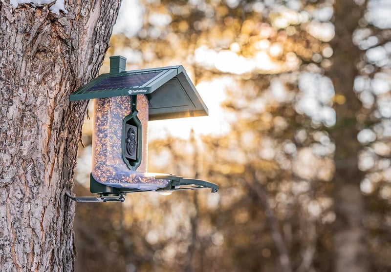 Solar-Powered Smart Bird Feeder with Dual Chambers for Birdwatchers