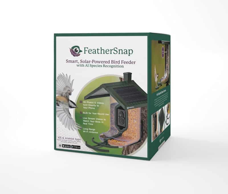 Solar-Powered Smart Bird Feeder with Dual Chambers for Birdwatchers