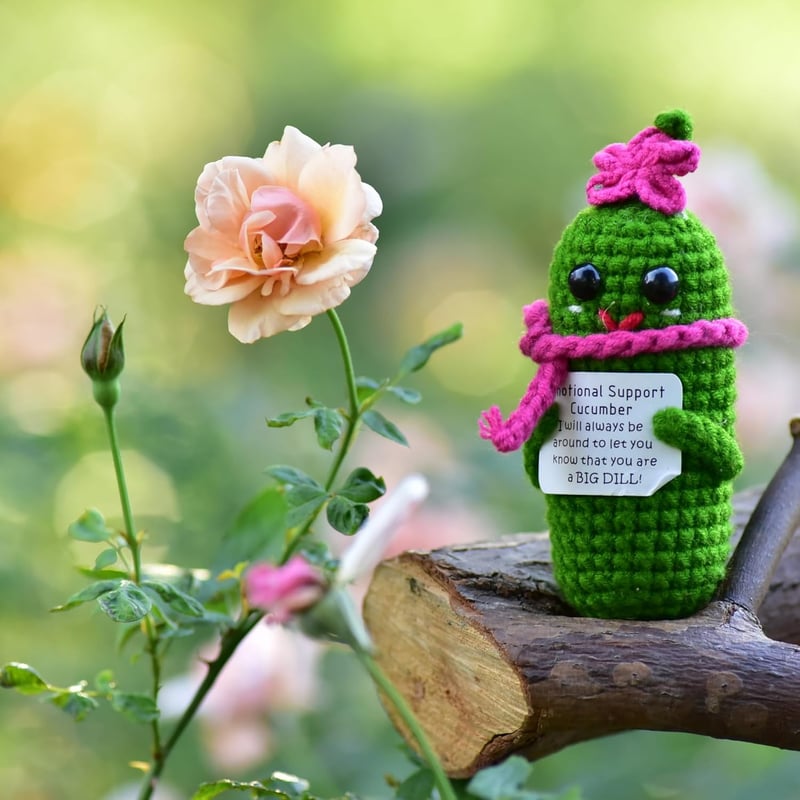 Inspirational Crochet Pickle with Affirmation Card Gift
