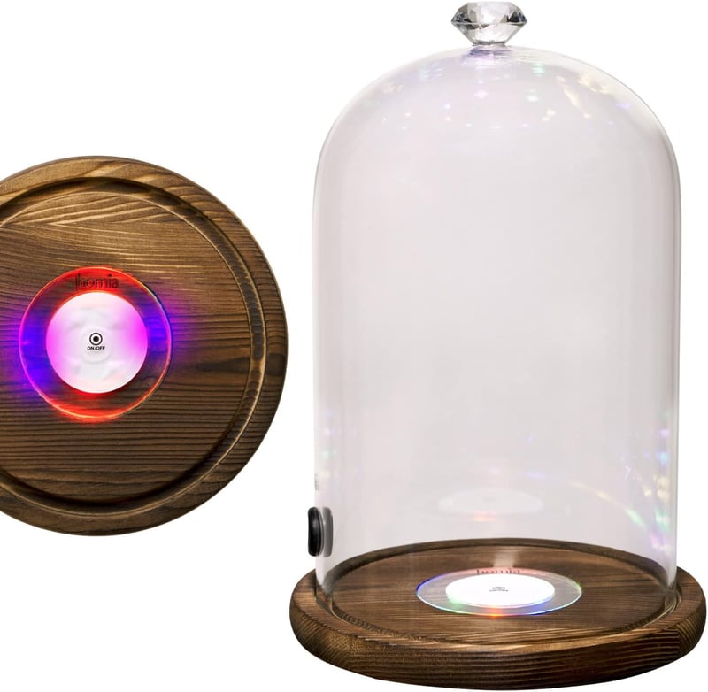 Smoking Cloche with LED Glass Dome and Wooden Base for Cocktails