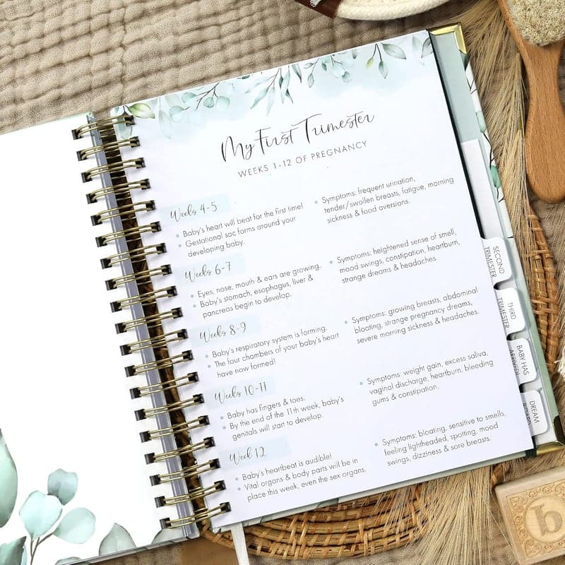 Pregnancy Journal & Memory Book with Stickers for Moms-to-Be