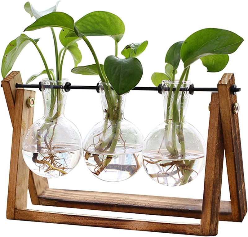 Hydroponic Tabletop Plant Terrarium with Wooden Stand, 3-Bulb Glass Vases
