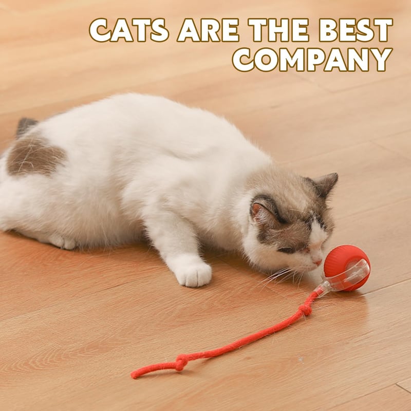 Interactive 360 Rolling Pet Ball Set (3 PCS) – For Dogs & Cats