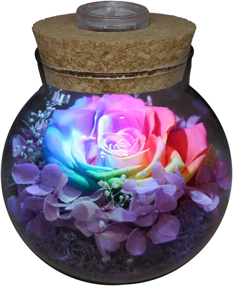 Christmas Eternal Rose Mood Light Bottle Decor