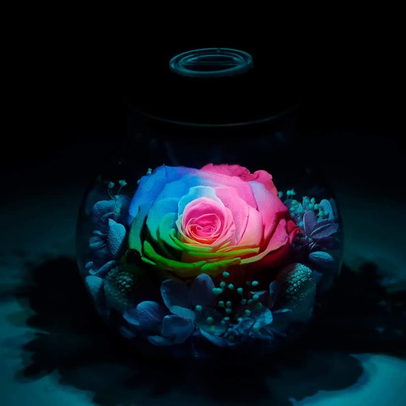 Christmas Eternal Rose Mood Light Bottle Decor