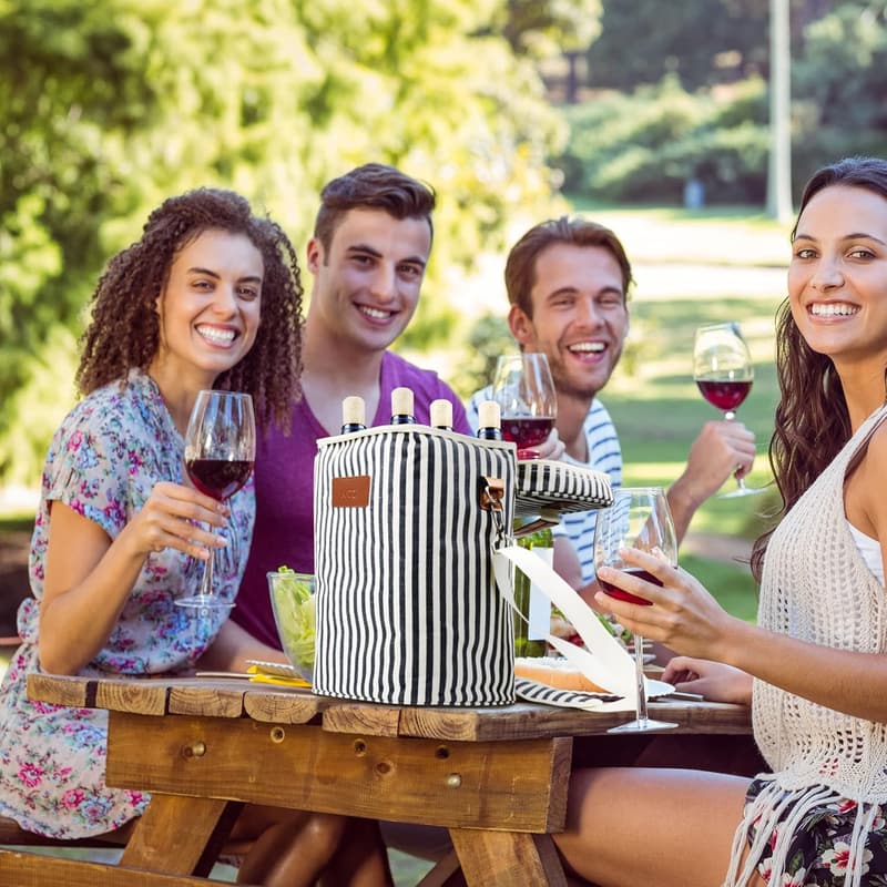 Wine Carrier Tote - 4 Bottle Insulated Stripe Bag