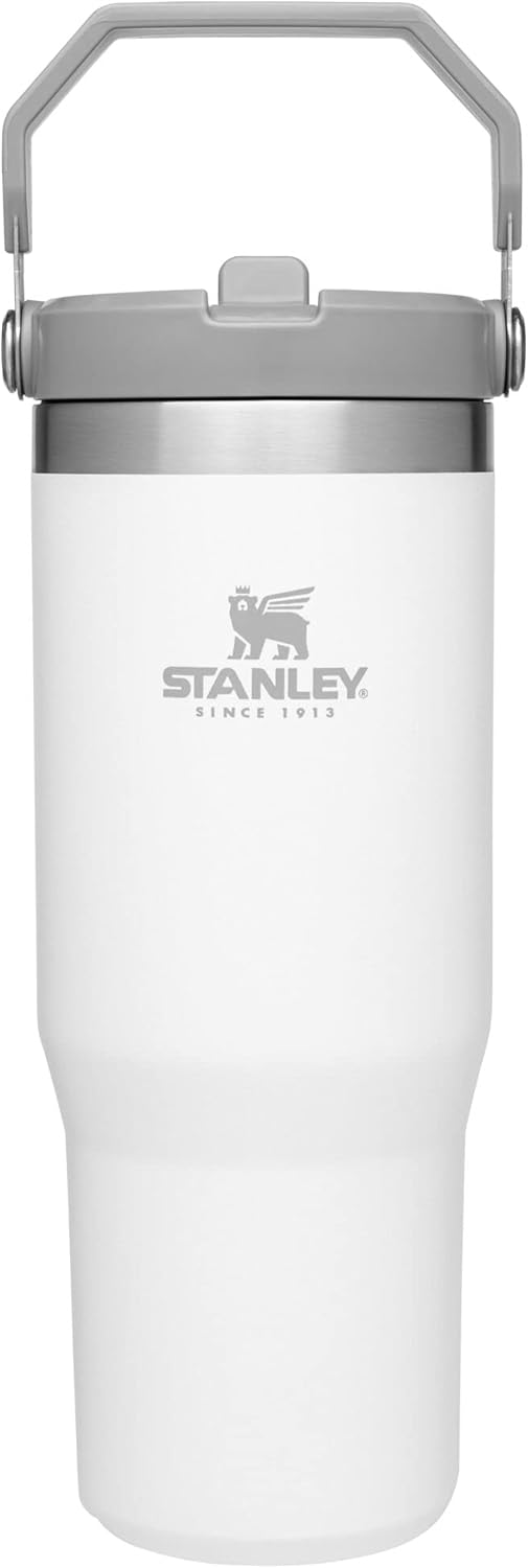Stainless Steel Tumbler with Straw, Leak Resistant