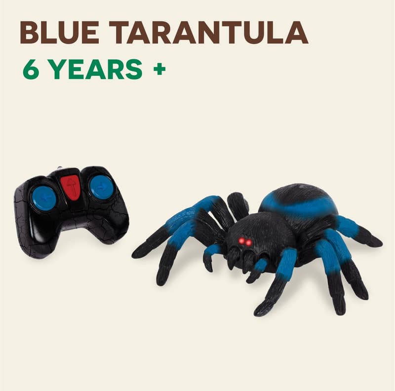 Remote Control Spider Toy for Kids – LED Eyes, 360 Spin, Blue