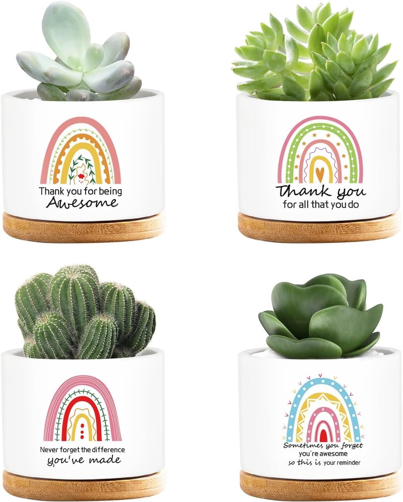 Employee Appreciation Funny Ceramic Succulent Pots - 4 Pcs