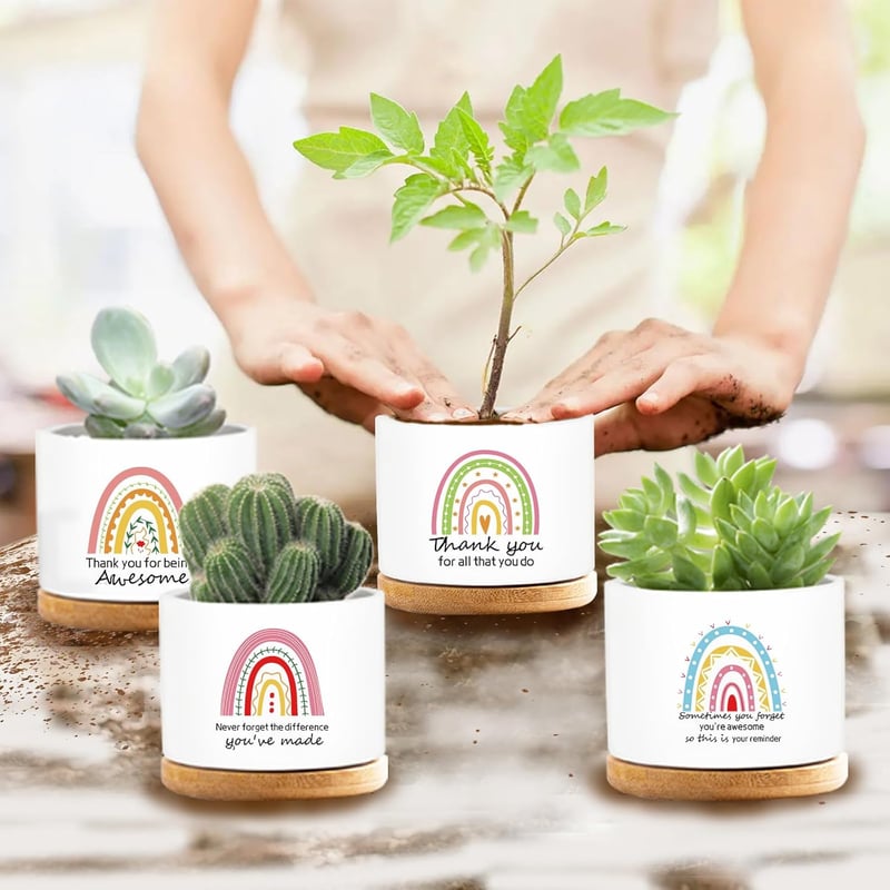 Employee Appreciation Funny Ceramic Succulent Pots - 4 Pcs