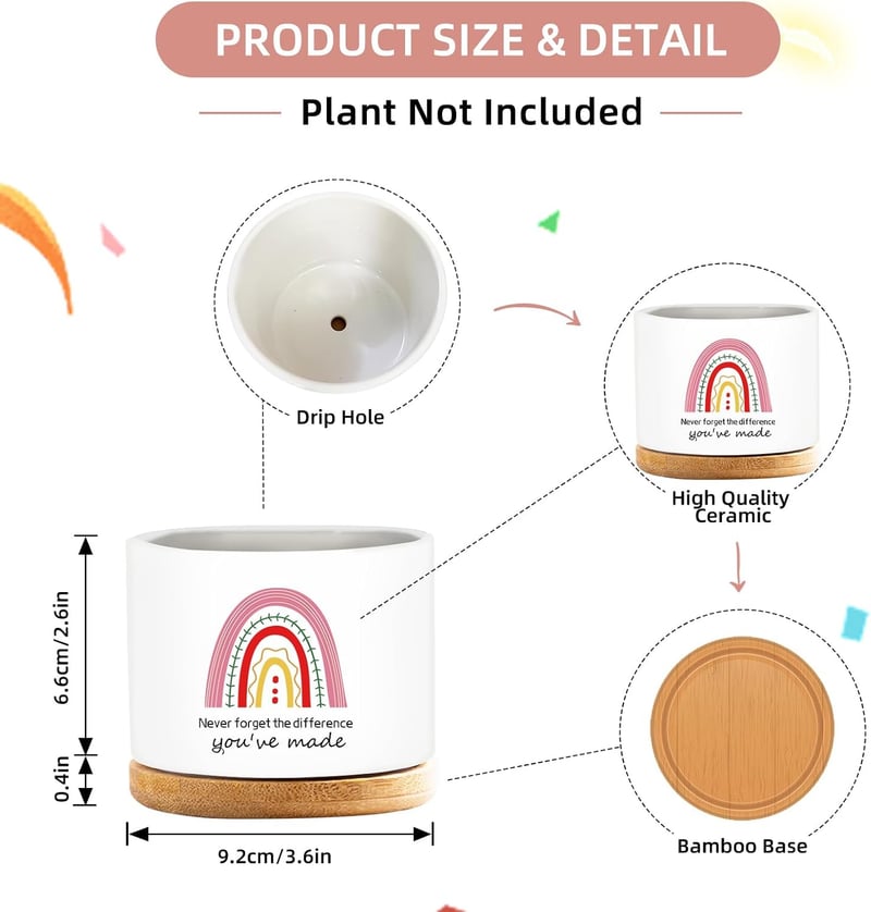 Employee Appreciation Funny Ceramic Succulent Pots - 4 Pcs