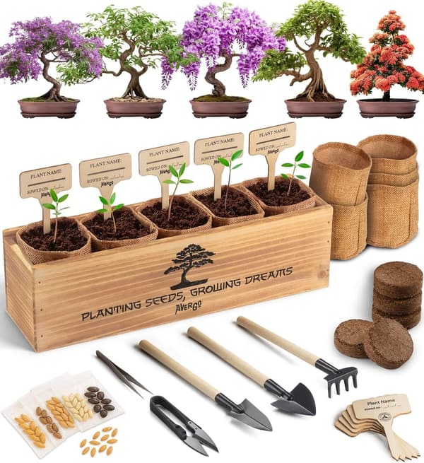 Indoor Bonsai Tree Kit - Grow 5 Unique Japanese Trees