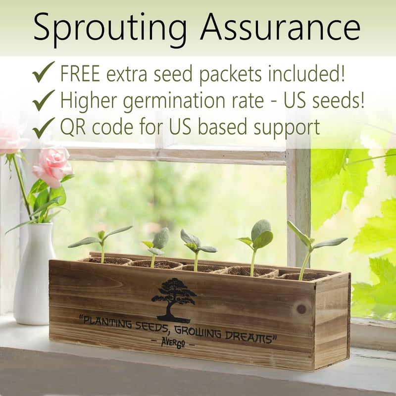 Indoor Bonsai Tree Kit - Grow 5 Unique Japanese Trees