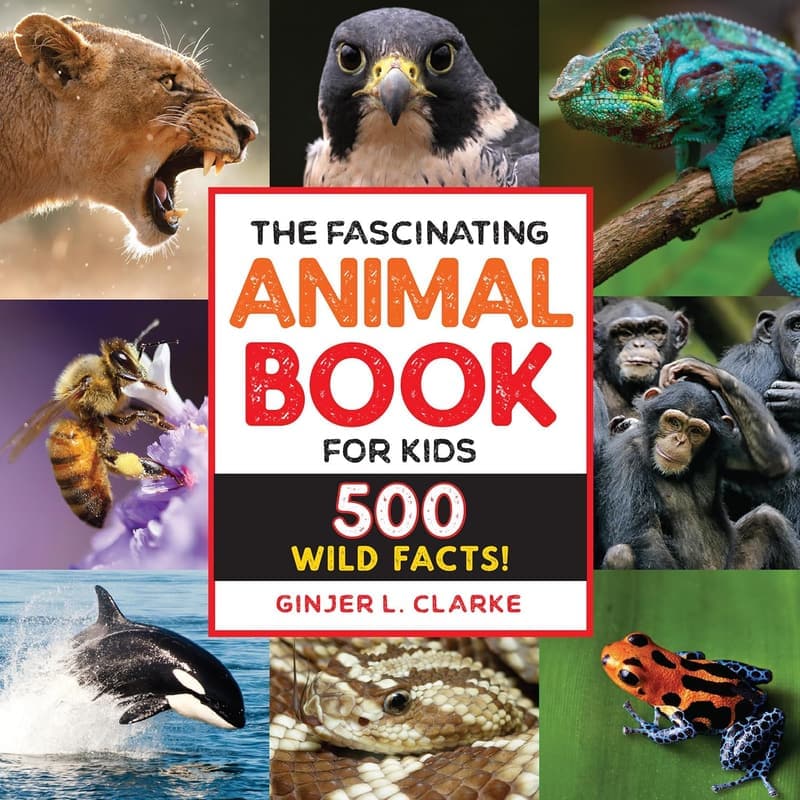 Kids' Animal Book: 500 Wild Facts for Young Explorers