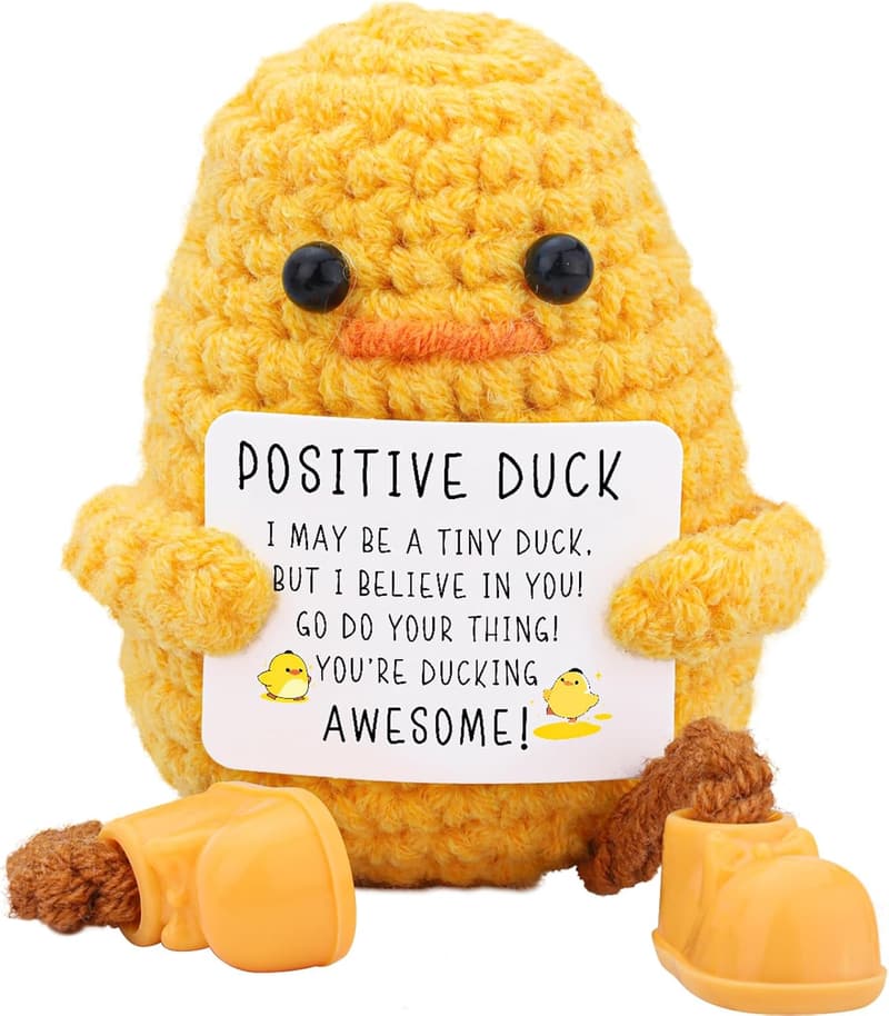 Graduation Gift: Handmade Cute Duck Support for Friends