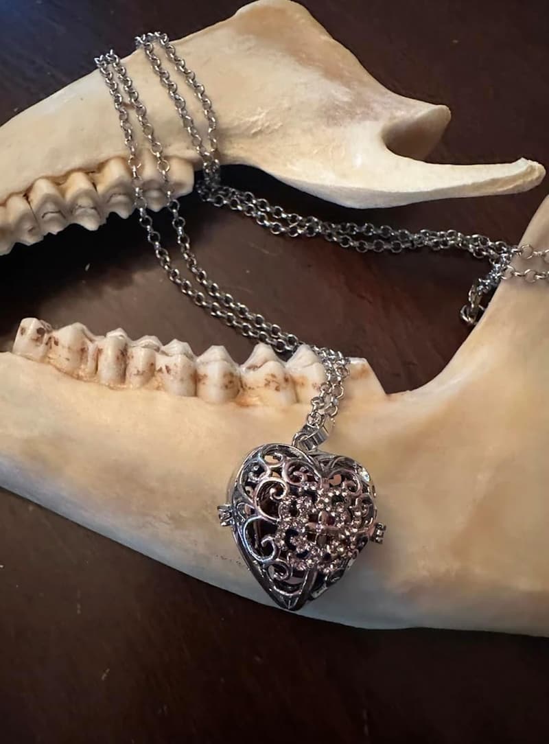 Victorian Heart Locket Necklace Kit - Handmade Blood Vial Design